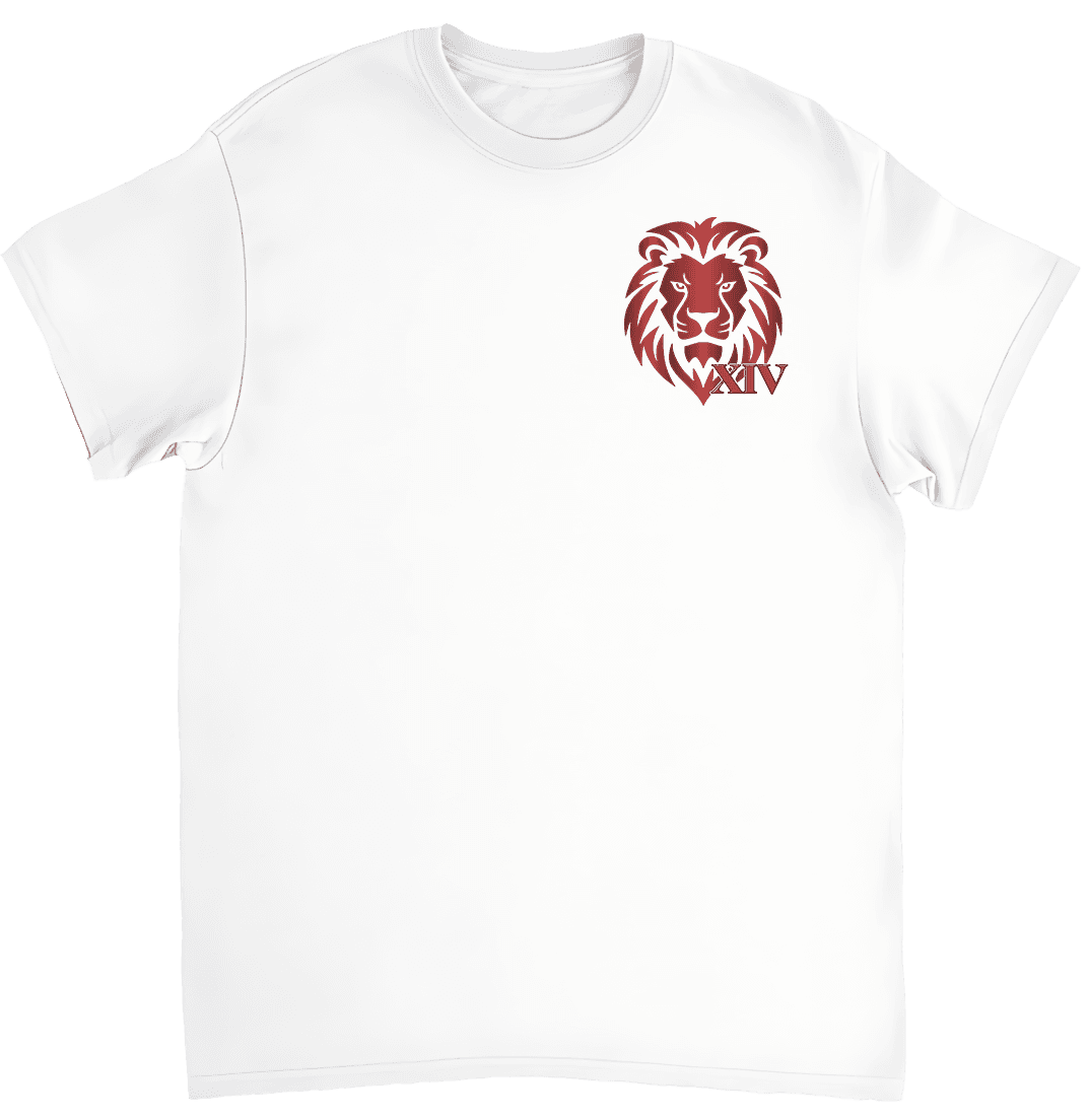 Camiseta 70v7