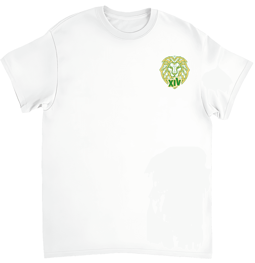 Camiseta Papa León XIV verde